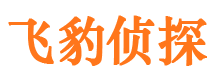 东海岛找人公司